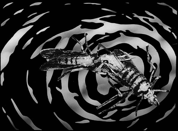 米老鼠宇宙探险，米老鼠太空（寻找《至爱梵高》的源头）