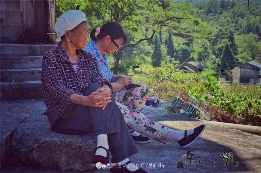 山上的大风车是干嘛的，山上的大风车是什么（醉在漫山遍野的竹海风车里！）