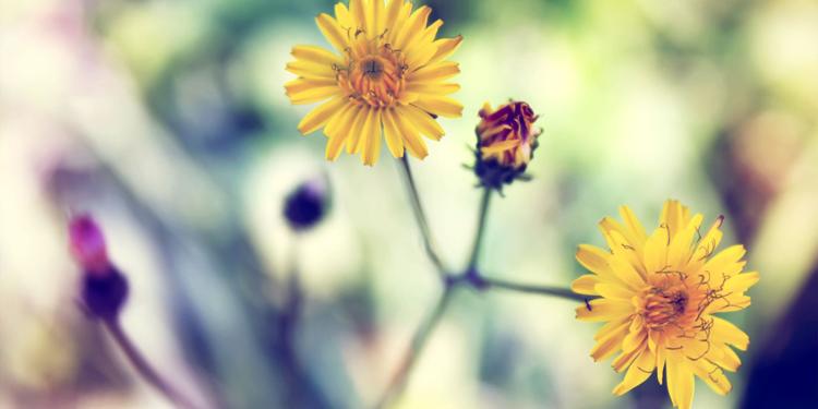 吵架后的心情说说，吵架后的心情说说长句（父母吵架我的心情短语）