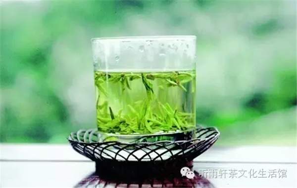 四季春茶属于什么茶，四季春茶属于什么茶系（春茶和秋茶的区别在哪里）