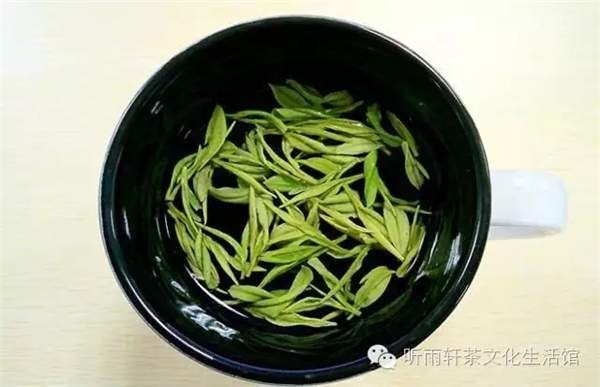 四季春茶属于什么茶，四季春茶属于什么茶系（春茶和秋茶的区别在哪里）