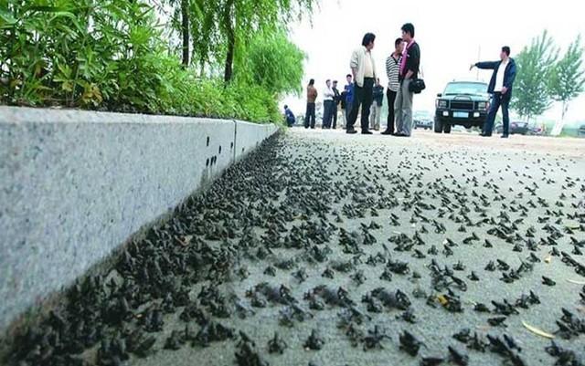 世界上最大地震，世界上最大地震排行榜（盘点全球10次伤亡最大的地震）