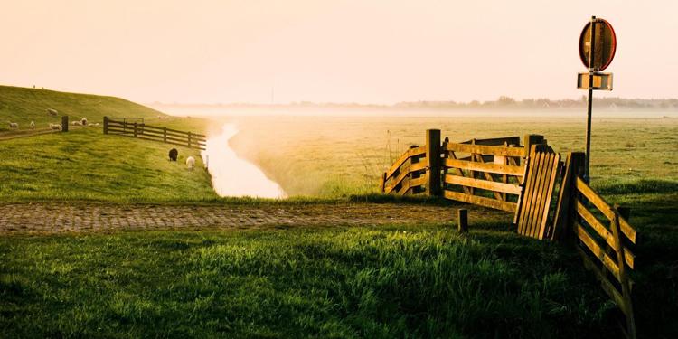 异地恋情侣温暖的话，异地恋情侣温暖的话简短（异地恋情话最暖心短句）
