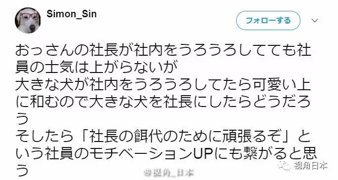 @MEOU 布丁狗表情包，meout什么意思（如果社长是只又大又可爱的狗图片）