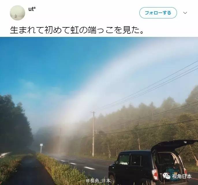 @MEOU 布丁狗表情包，meout什么意思（如果社长是只又大又可爱的狗图片）