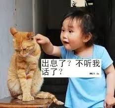 中国平安车险电话95512还是95511，车险打95511还是95512（再来两场雨，今年彻底凉快了）