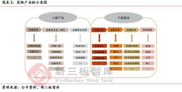 上海派特宠物猫绝育多少钱 上海猫绝育手术最好的医院