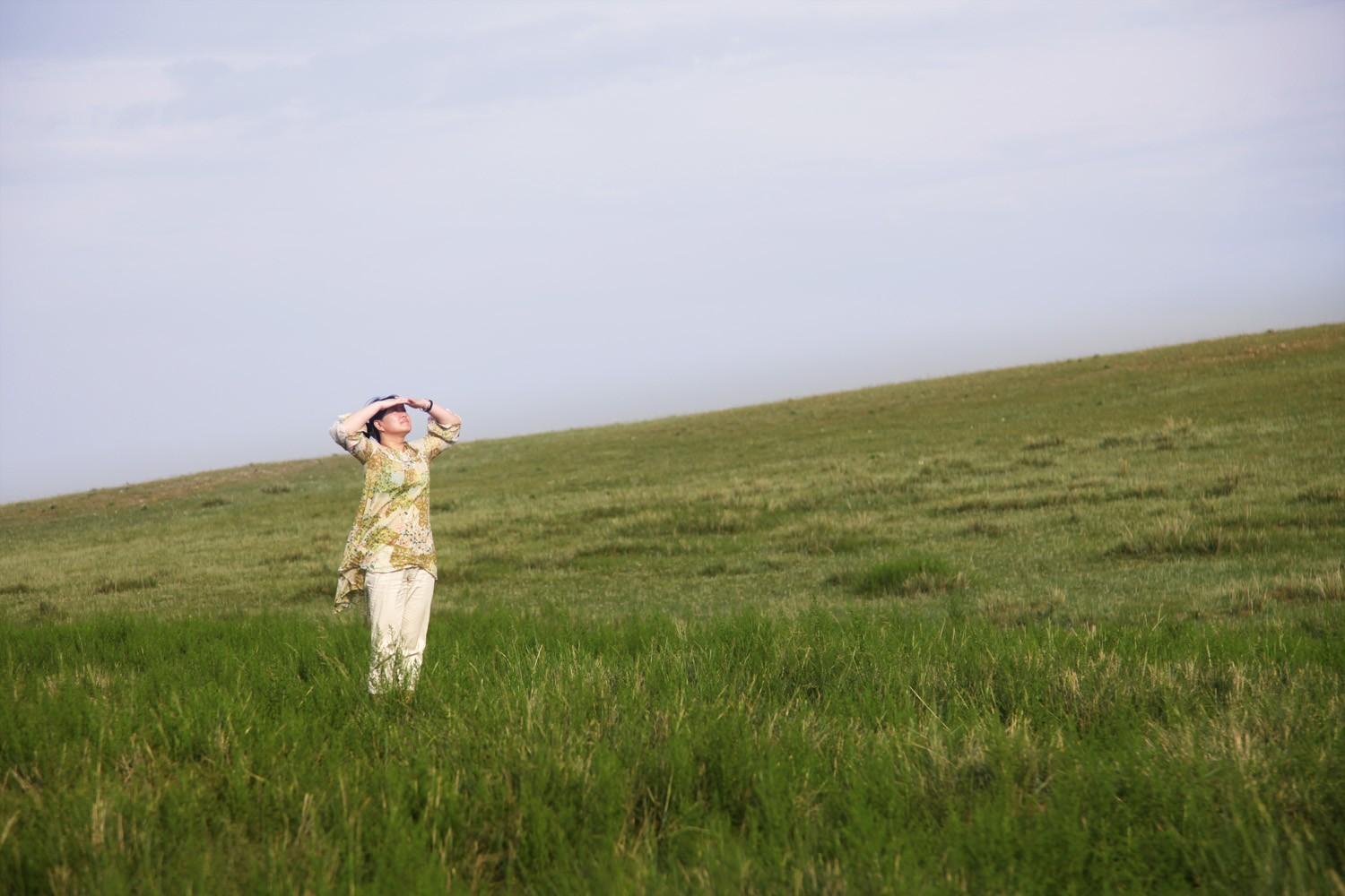 关于草原的资料，蒙古大草原（草原之夏——希拉穆仁草原）