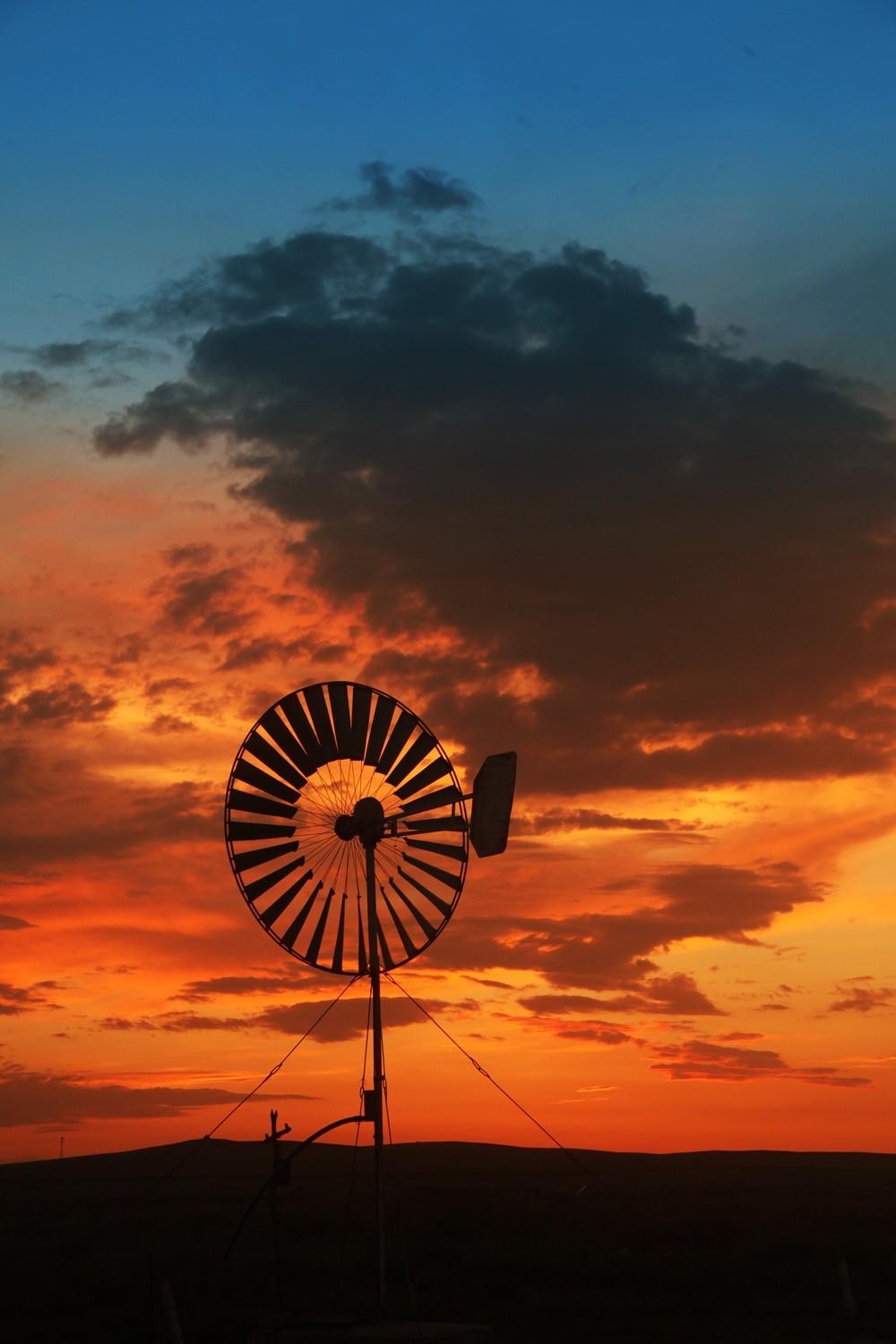 关于草原的资料，蒙古大草原（草原之夏——希拉穆仁草原）