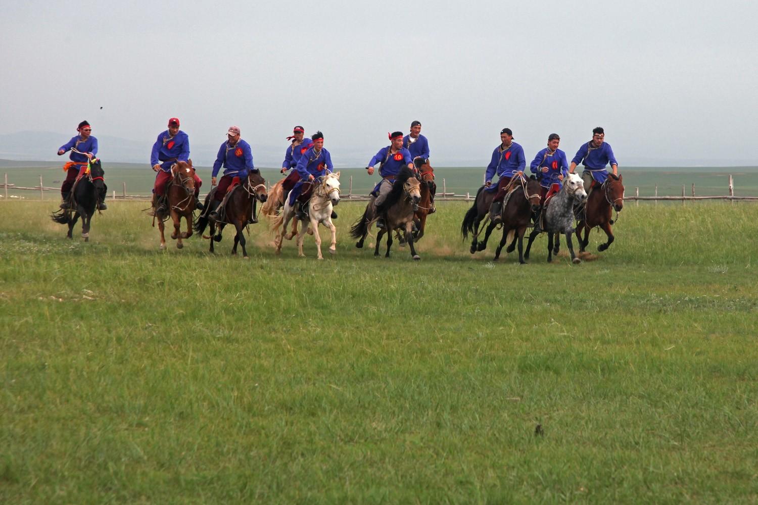 关于草原的资料，蒙古大草原（草原之夏——希拉穆仁草原）