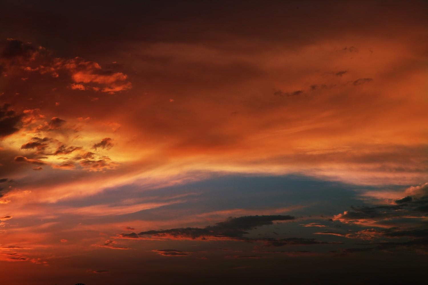 关于草原的资料，蒙古大草原（草原之夏——希拉穆仁草原）