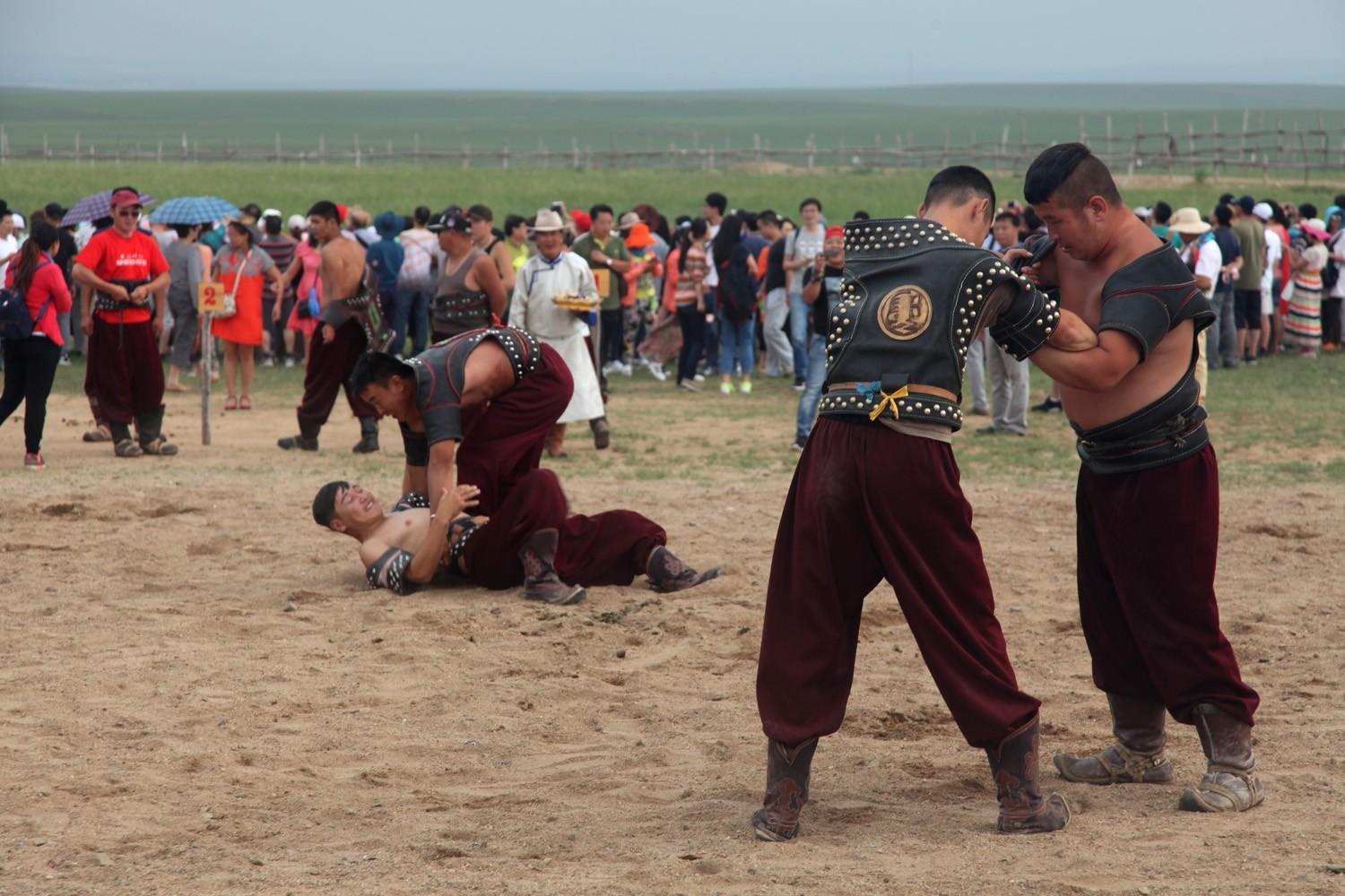 关于草原的资料，蒙古大草原（草原之夏——希拉穆仁草原）
