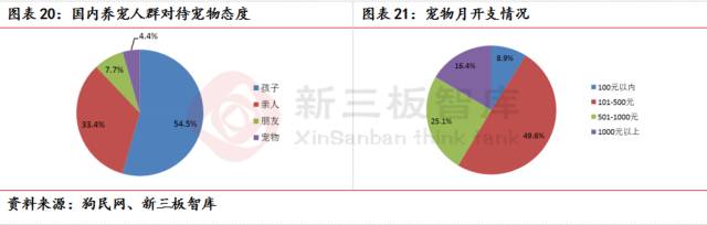 上海派特宠物猫绝育多少钱 上海猫绝育手术最好的医院