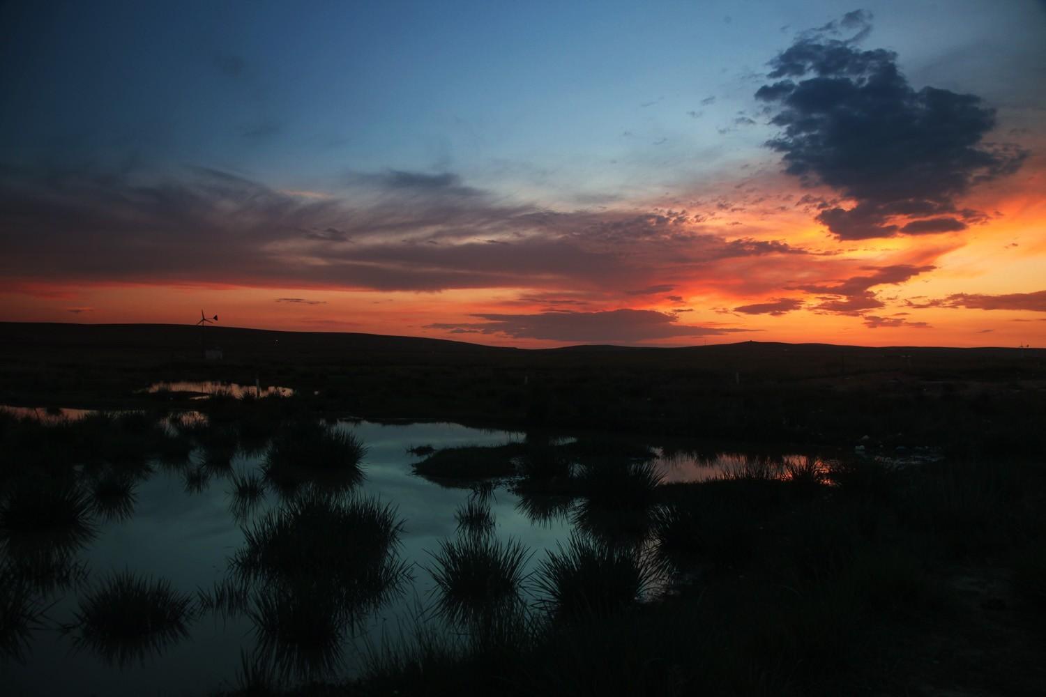关于草原的资料，蒙古大草原（草原之夏——希拉穆仁草原）