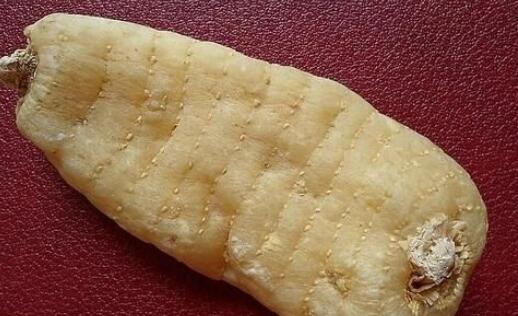 天麻的吃法与用量，天麻正确吃法和用量（天麻可以长期服用吗）