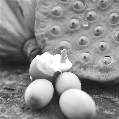 莲蓬的功效与作用，莲蓬的功效与作用莲蓬的食用禁忌（解暑降热 莲蓬还有这些妙用）