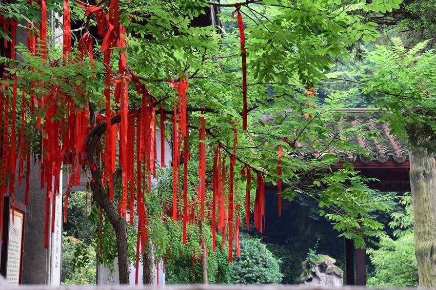 普陀山求姻缘(去普陀山求姻缘)
