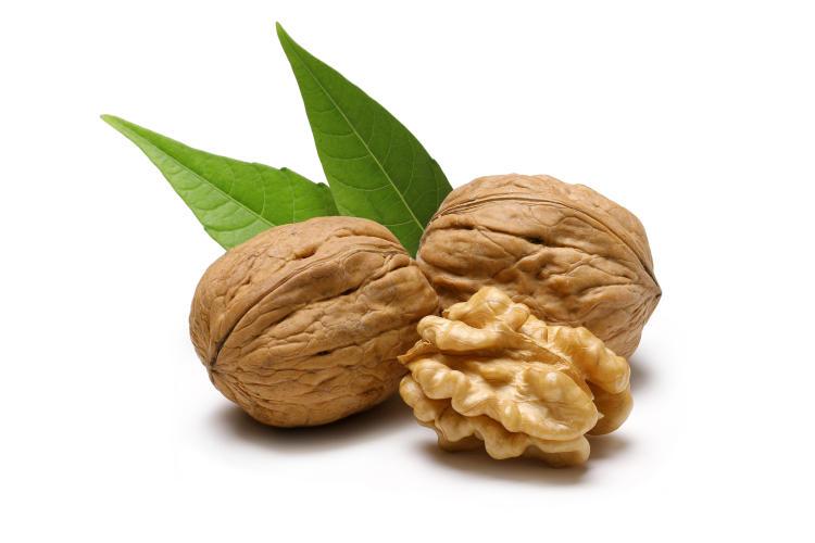 一号店的东西怎么样，一号店怎么样（薄皮核桃霉菌不合格）