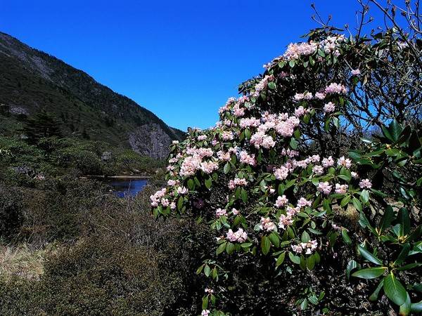 喜德县景点,喜德县名胜古迹(喜德县这些山你都认识吗)