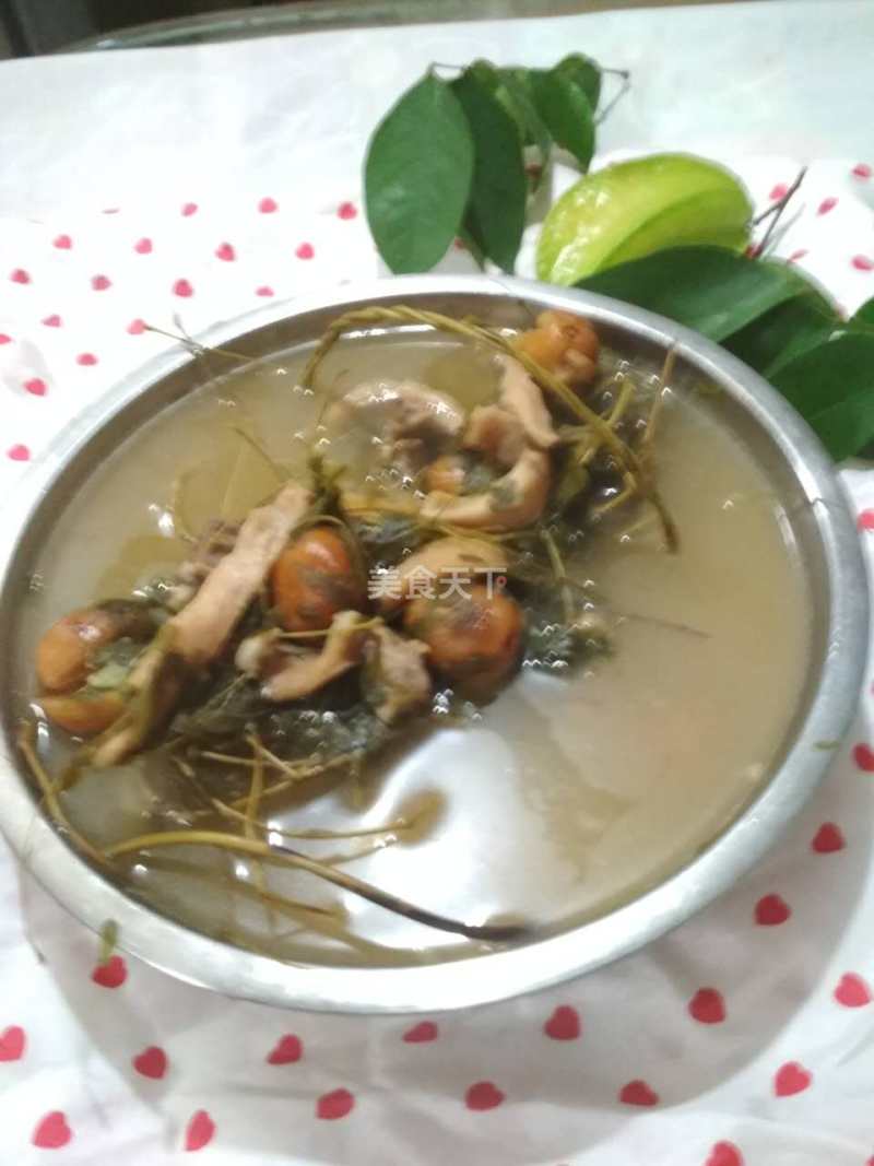 猪小肚煲汤放什么材料好，猪小肚炖汤的几种美味做法（鸡骨草煲猪小肚）