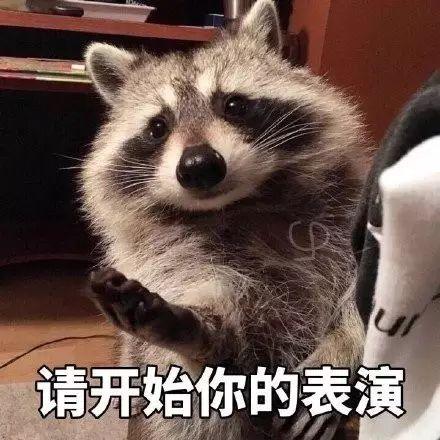 生我者猴死我雕，古代文人是怎么骂人的（古代达人们什么都“吸”）