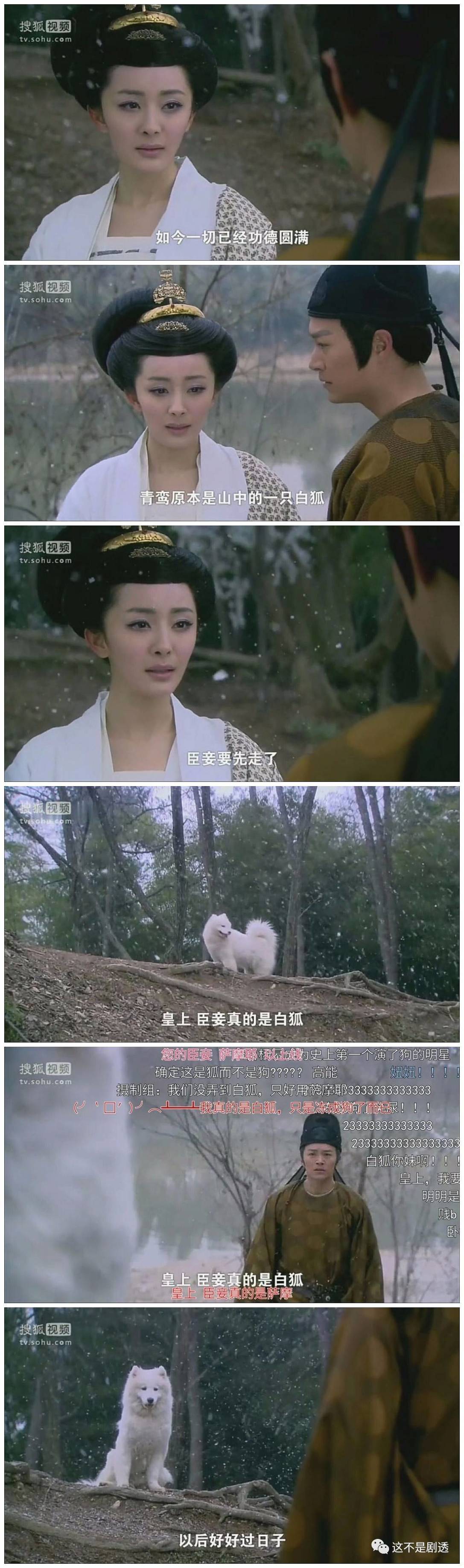 朵蜜你是什么意思，朵蜜是什么意思（然后继承我的蚂蚁花呗么）