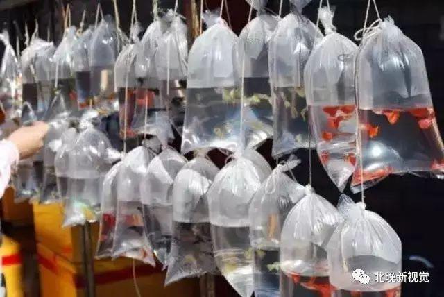 天意小商品批发市场，郑州玩具批发市场在哪里（京城这10大批发市场还剩几个）