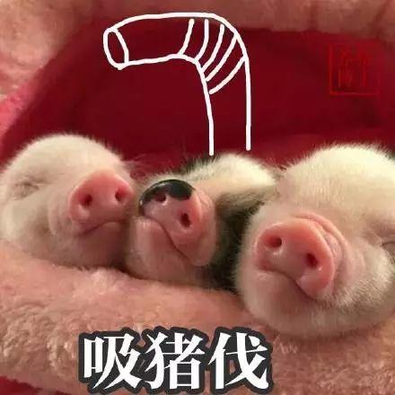 生我者猴死我雕，古代文人是怎么骂人的（古代达人们什么都“吸”）