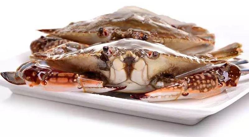 怎么钓螃蟹，钓螃蟹的最快方法钓螃蟹神器（今秋肥美螃蟹新鲜海货就靠本文了）