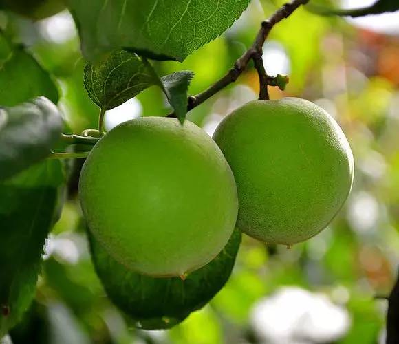 神女湖神女雕像的传说，神女湖雕像的传说（一段传说一座湖）