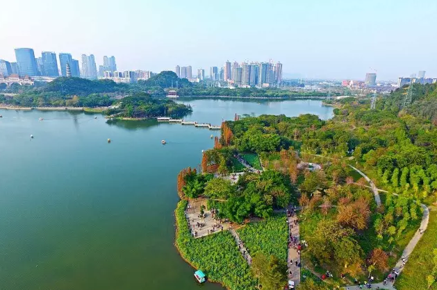 佛山有哪些公園,佛山有哪些公園可以晚上打羽毛球(佛山最值得去的8大