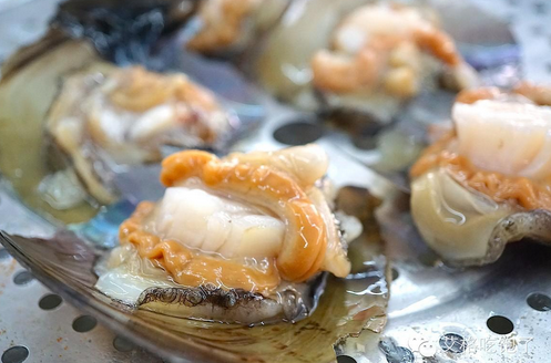 带子，带子肉海鲜是什么样的（带子怎么处理）