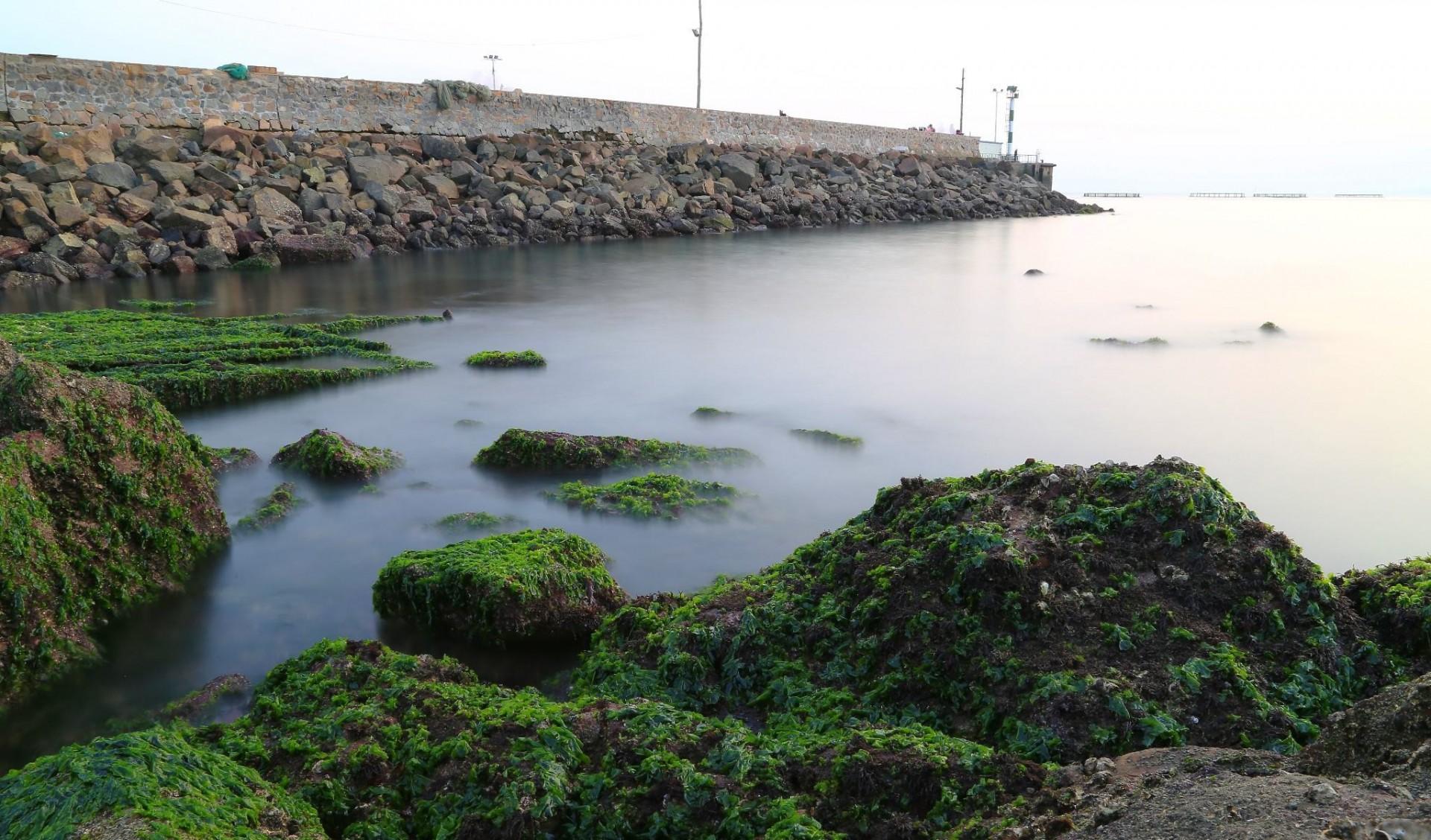 怎么钓螃蟹，钓螃蟹的最快方法钓螃蟹神器（今秋肥美螃蟹新鲜海货就靠本文了）