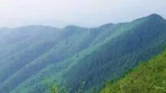 衡山海拔多少米，衡山祝融峰的海拔高度是多少（衡阳县各乡镇名称的由来及主要景点）