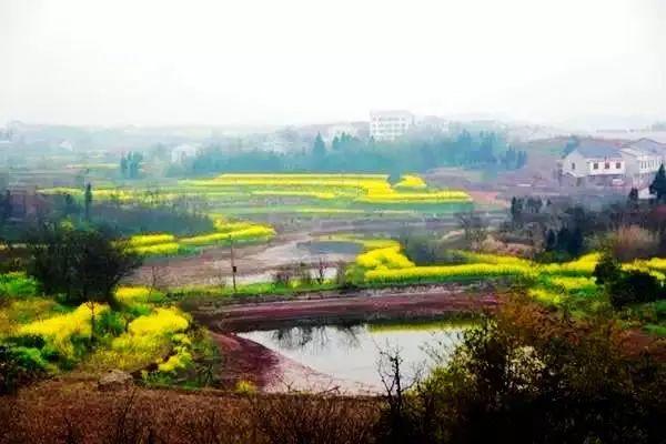 衡山海拔多少米，衡山祝融峰的海拔高度是多少（衡阳县各乡镇名称的由来及主要景点）