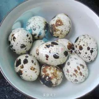 炖汤做法大全，老麻鸭炖汤做法大全（在遇到秋日悲伤之前）