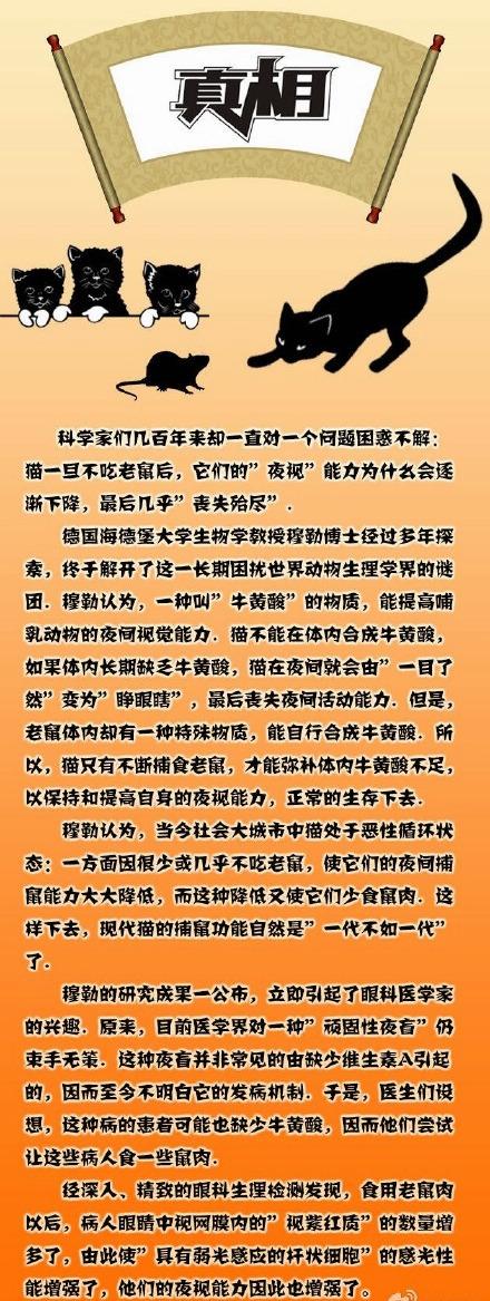 梦见猫吃老鼠什么意思，梦到猫吃了老鼠是什么意思（猫为什么要吃老鼠）