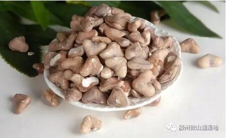 滕州特产有什么啊，滕州当地特产（滕州微山湖湿地：相约滕州）