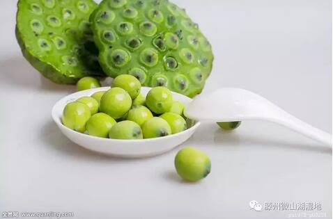 滕州特产有什么啊，滕州当地特产（滕州微山湖湿地：相约滕州）