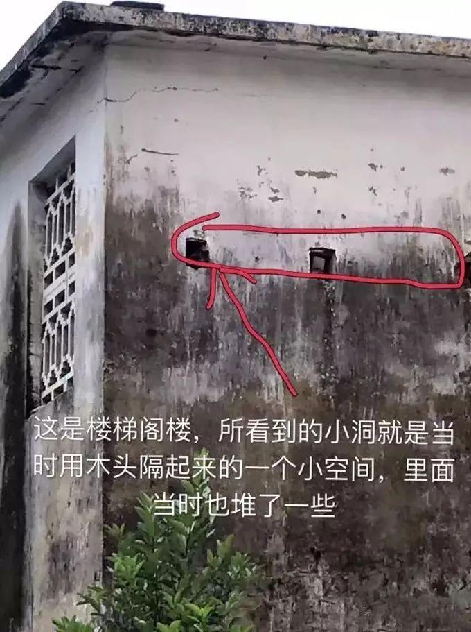 海黄是什么东西，真正的海黄是什么样子的（海黄，看了这个你会了解更多）