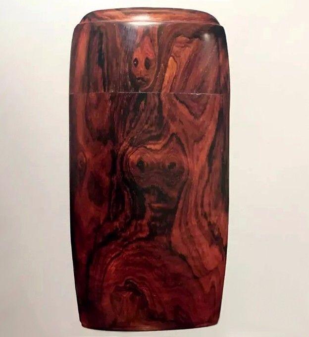 海黄是什么东西，真正的海黄是什么样子的（海黄，看了这个你会了解更多）