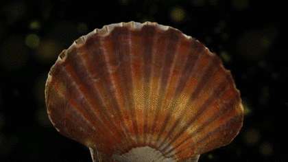 嗨塘音乐app下载,嗨塘音乐下载v1.3.2(一次旅行好不好) 嗨塘音乐app下载,嗨塘音乐下载v1.3.2(一次旅行好不好)