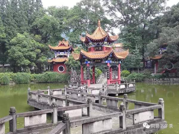 禅茶一味的意思，禅茶一味的意思是什么（解读“禅茶一味”的两层含义）