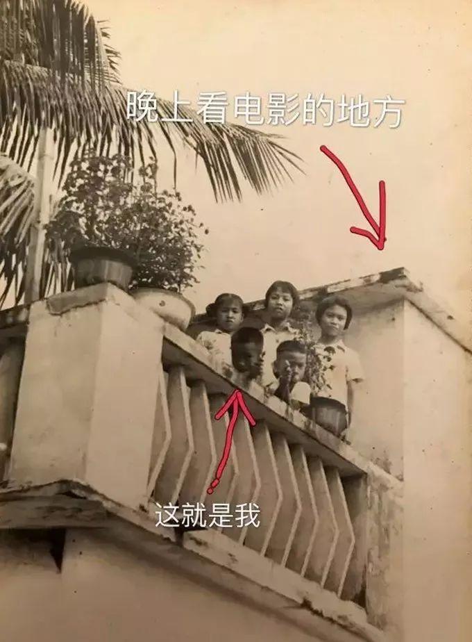 海黄是什么东西，真正的海黄是什么样子的（海黄，看了这个你会了解更多）