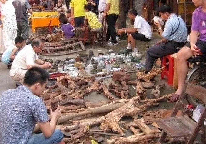 海黄是什么东西，真正的海黄是什么样子的（海黄，看了这个你会了解更多）