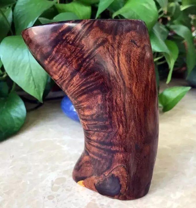 海黄是什么东西，真正的海黄是什么样子的（海黄，看了这个你会了解更多）