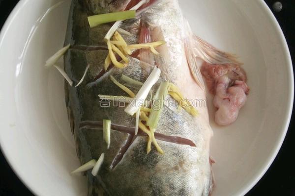 清蒸鳜鱼,清蒸桂鱼的做法步骤视频 清蒸鳜鱼,清蒸桂鱼的做法步骤视频