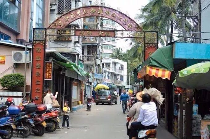 海黄是什么东西，真正的海黄是什么样子的（海黄，看了这个你会了解更多）