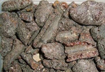 蓖麻蚕的功效与作用，蓖麻蚕蛹的功效与作用（这六种和农业有关的小虫子）