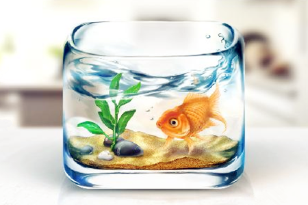 办公室鱼缸摆放位置，办公室鱼缸的摆放位置（办公室养鱼的风水讲究）